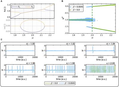 Heterogeneity and Delayed Activation as Hallmarks of Self-Organization and Criticality in Excitable Tissue